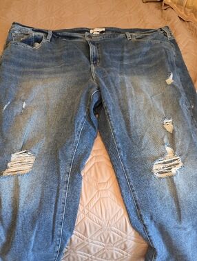 Lane Bryant Dark Wash Straight Jeans